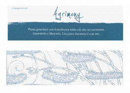 I Segnalibri dei Fiori di Bach — Cancelleria - 4