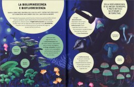 I Segreti dei Funghi — Libro - 3