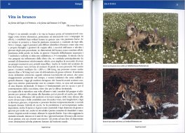 I Segreti dei Lupi — Libro - 3