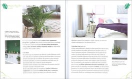 I Segreti del Feng Shui con le Piante — Libro - 3
