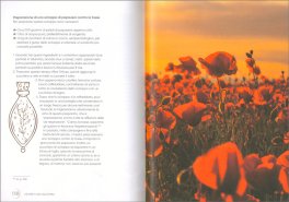 I Segreti dell'Alchimia — Libro - 3