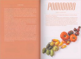 I Segreti dell'Orto — Libro - 3