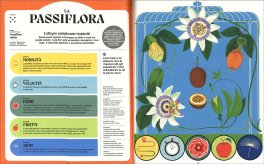 I Superpoteri delle Piante — Libro - 3