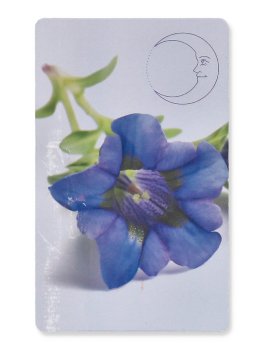 I Tarocchi Genziana dell'Inconscio - 5
