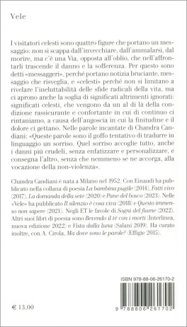 I Visitatori Celesti — Libro - 2