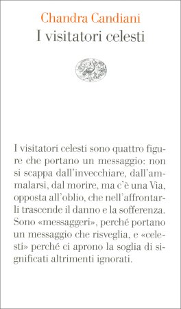 I Visitatori Celesti — Libro - 1