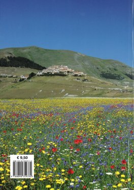 Il Benessere Intestinale? L'Equilibrio Termico — Libro - 2