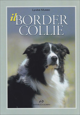 Il Border Collie 