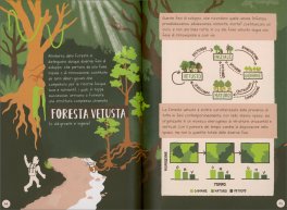 Il Bosco che Vive — Libro - 3