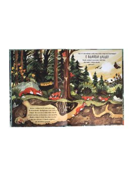 Il Bosco Segreto — Libro - 2
