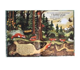 Il Bosco Segreto — Libro - 2