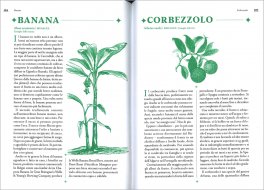 Il Botanico Ubriaco — Libro - 3