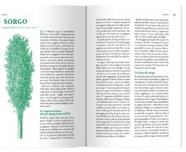 Il Botanico Ubriaco — Libro - 4
