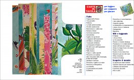 Il Brutto Anatroccolo - Carte — Libro/Gioco - 3