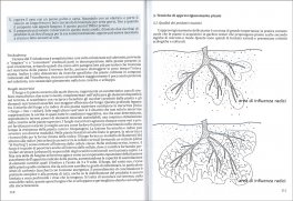 Il Buon Giardino Selvaggio — Libro - 4