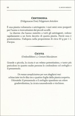 Il Buon Medico — Libro - 3