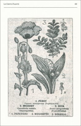 Il Buon Medico — Libro - 4