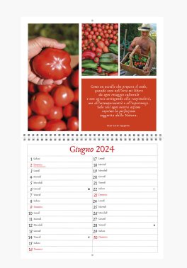 Il Calendario dell'Orticoltura Elementare 2024 — Calendario - 2