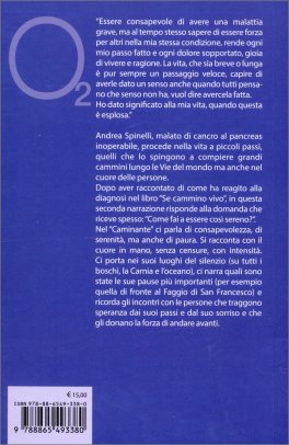 Il Caminante - Camminatore, Pellegrino e Viandante — Libro - 2