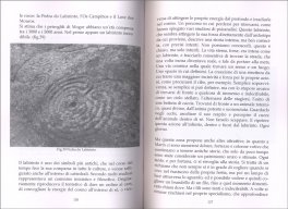 Il Cammino di Santiago prima di Santiago — Libro - 3