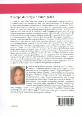 Il Campo di Energia è l'Unica Realtà — Libro - 2