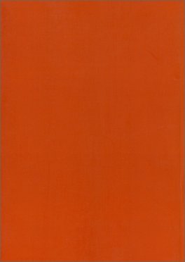 Il Cane Psicoterapeuta del Suo Padrone — Libro - 2