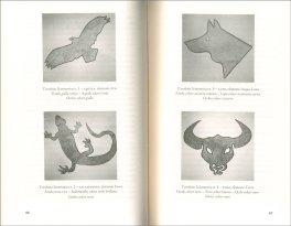 Il Canto dello Sciamano — Libro - 3