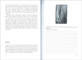 Il Carisma del Mago — Libro - 4