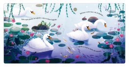 Il Carnevale degli Animali — Libro - 3