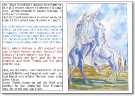 Il Cavallino della Camargue — Libro - 2