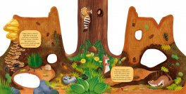 Il Ceppo — Libro - 4