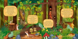 Il Ceppo — Libro - 5