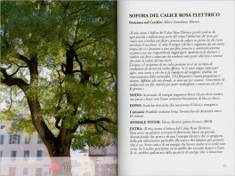 Il Cerchio d'Oro degli Alberi — Libro - 3