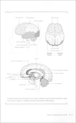 Il Cervello — Libro - 3