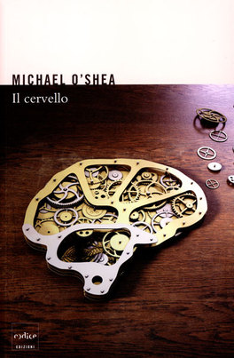 Il Cervello  — Libro - 2