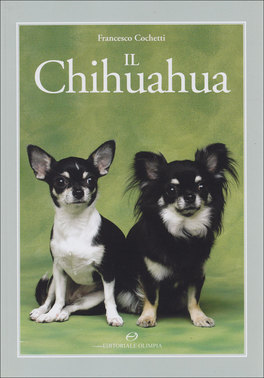 Il Chihuahua