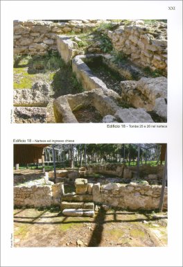 Il Chorion di Kaukana — Libro - 3
