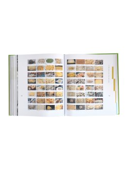 Il Codice della Cucina Vegetariana — Libro - 2