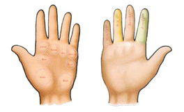 Il Codice Segreto delle Tue Mani — Libro - 2