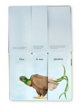 Il Componi-Animali degli Uccelli — Libro/Gioco - 4