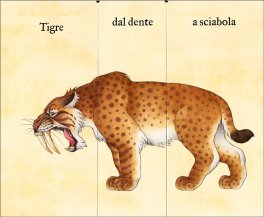 Il Componi Animali dell'Era Glaciale — Libro/Gioco - 3