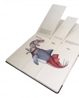 Il Componi-Sauro del Giurassico — Libro/Gioco - 3