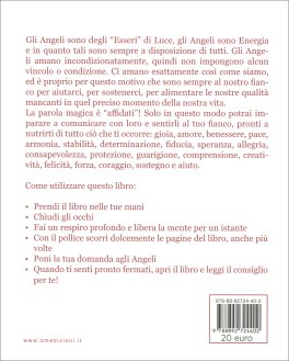 Il Consiglio degli Angeli — Libro - 2