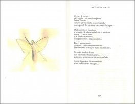 Il Coraggio delle Farfalle — Libro - 3
