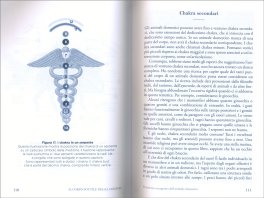 Il Corpo Sottile degli Animali — Libro - 3