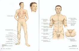 Il Corpo Sottile — Libro - 3