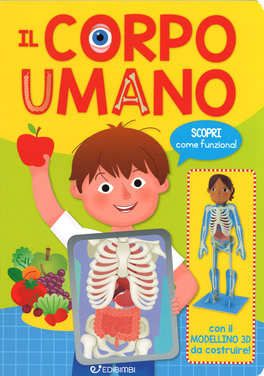 Il Corpo Umano — Libro - 1