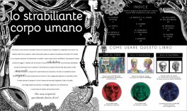 Il Corpo Umano — Libro - 5