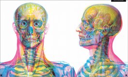 Il Corpo Umano — Libro - 6