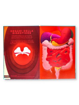 Il Corpo Umano — Libro - 3